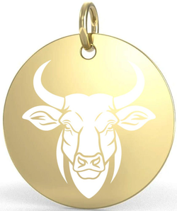 Přívěsek zlacené stříbro znamení býk 15 mm
