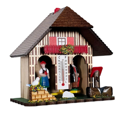 Meteodomeček Trenkle TR805