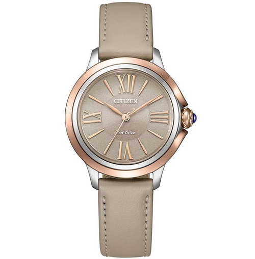 Hodinky Citizen CITIZEN L EM1166-01Z