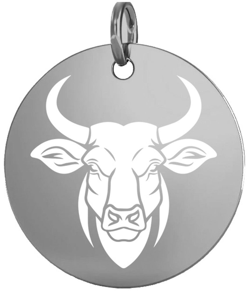 Stříbrný přívěsek znamení býk 16 mm