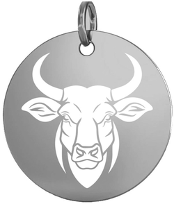 Stříbrný přívěsek znamení býk 16 mm