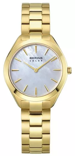 Bering Solar 17331-734